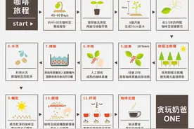 「从零开始玩咖啡」从未知到迷恋，保姆级入坑攻略图片