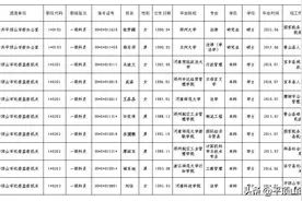平顶山市2023年市直机关公开遴选公务员拟录用人员公示图片