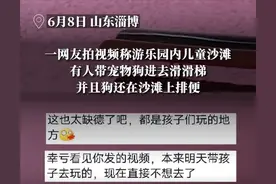 宠物狗进儿童沙滩上排便遭家长质疑，游乐园回应：狗未排便，游乐园未正式营业，后续会加强管理图片