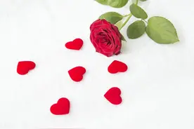 怎么判断一个人专情还是多情图片