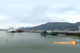 昆明即将开启观鸥季！观鸥攻略快收好图片