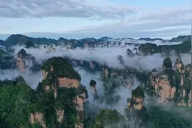 张家界门可罗雀，旅游业春风难度图片