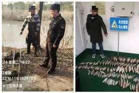 因干了这件事，泰州这里52人被查处！图片