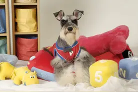 宝宝头上长红疹子，可能是跟它有关图片