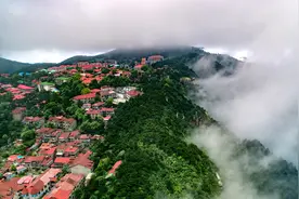 急诊胸痛心血管标志物检测专家共识图片