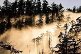 古代军队征战云南，近一半人死于瘴气中毒！瘴气为什么这么致命？图片