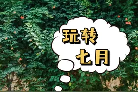 七月文化活动菜单出炉，来武昌就这么玩！图片