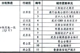 你可能不知道：武汉城市更新单元内的重点项目图片