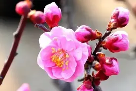 运气好的人，身上一般都有以下几个特点图片