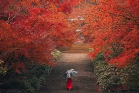 没有爱就没有痛苦——品评《红唇》歌曲的创作图片