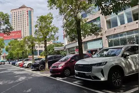 “价格杠杆”效果好 停车位周转率明显提升图片