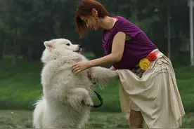 别问我为啥不养公狗了，看完这几点不敢养图片