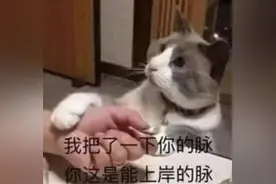 国考好还是河南省考好？图片