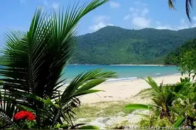 入境大马，一定要去这些景点打卡图片