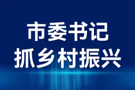 东莞要探索村书记入编、村干部薪酬改革！佛山、惠州、茂名、肇庆、潮州、揭阳、云浮提及这一词23次图片