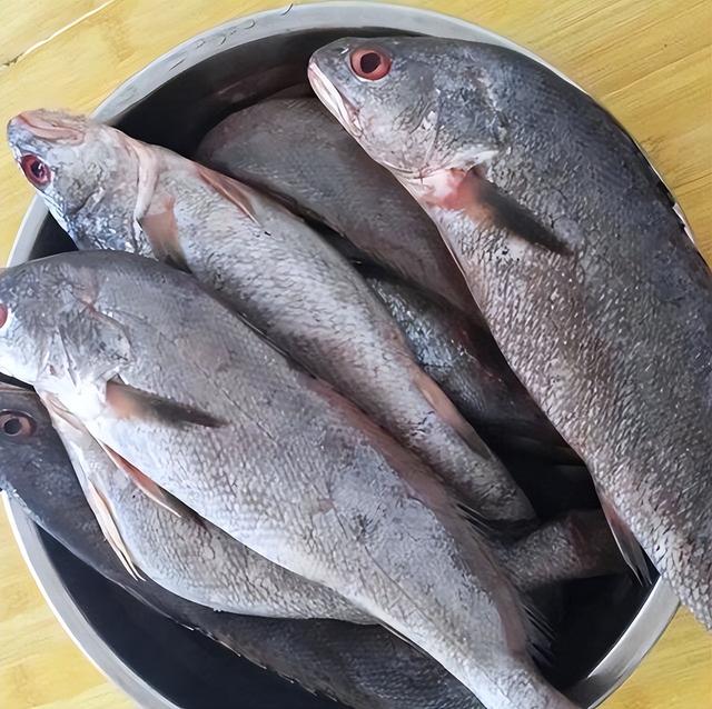 米鱼胶有长高的作用吗 2026年米鱼胶有长高的作用吗百度百科