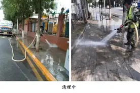接诉即办——树胶滴落惹人烦，迅速清理得解决图片