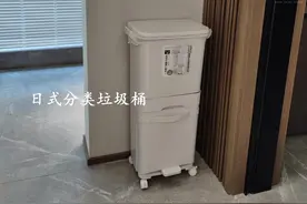 这种日式垃圾桶真好用，可移动可分类，干净又卫生，尤其放在厨房图片