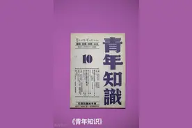 刊号后缀字母为什么不一样？字母的含义是什么？图片