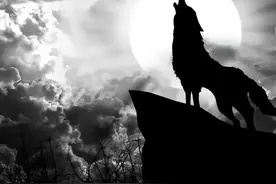 TK出海公会眼下掘金地在哪？众公会实践给出的答案是：中东图片