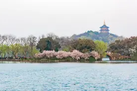 旅游满意度全国第一 杭州为什么还要打“翻身仗”？图片