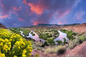 美国幽灵牧场——当艺术与农业相结合营造出真正的诗和远方！图片