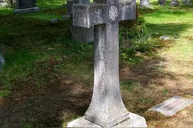 “偶尔治愈 常常帮助 总是安慰”，居然是一个弥天大谎？图片