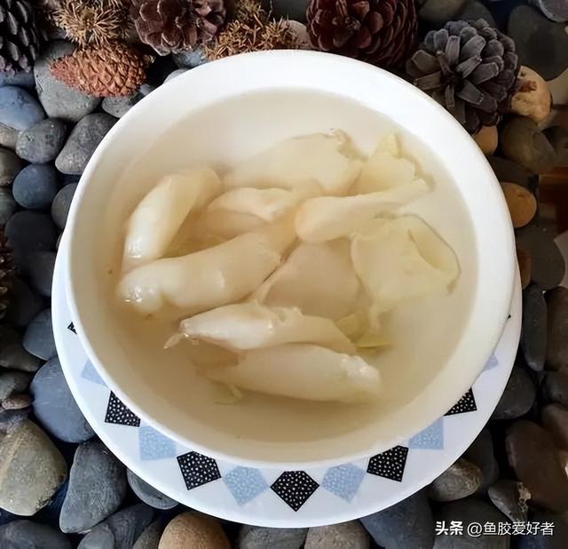 泡花胶用什么水泡 2026年花胶用什么水来浸泡