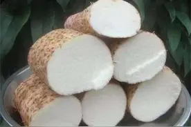 山药和淮山有什么区别吗？教你4招轻松分辨，让你不被骗不乱补图片