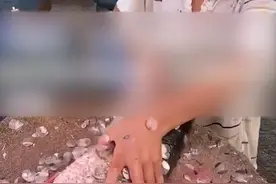 父亲去世母亲改嫁，11岁男孩街头杀鱼动作娴熟，镇政府：他是重点关注对象，社区：肯定要让他上学图片