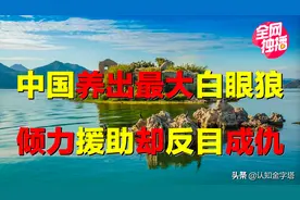 中国倾力援助东欧小国，为何反目成仇？断绝援助，该国下场如何？图片