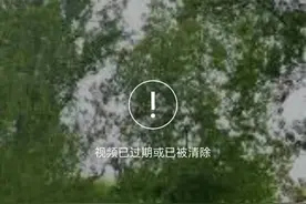 11 年暴涨 575 倍，微信空间占用之谜终于解开了图片