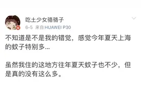 集中爆发！最近上海蚊子“很多很疯狂”是有原因的…你被咬了吗？图片