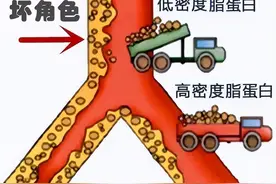 体检时查出低密度脂蛋白偏高的人，平时尽量要远离这5种食物图片