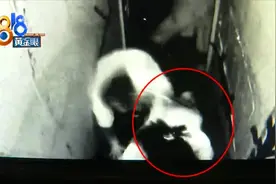 玩“最恐怖”“沉浸式”“密室逃脱”，跟酒吧有什么关系？图片