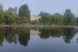 菜鸟，这个词你知道是怎么来的吗？图片