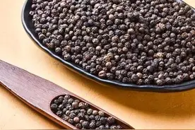 胡椒的成分及利用价值图片