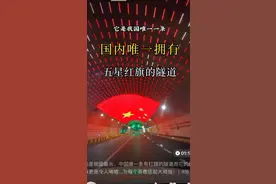 我国唯一一条有国旗闪耀的隧道图片
