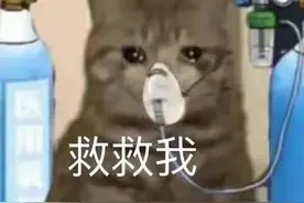 表情包：在干嘛呢，我想你了图片