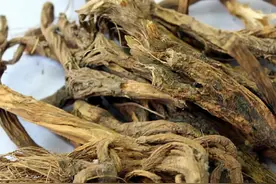 一碗汤-黄芪虫藤饮，管全身疼痛图片