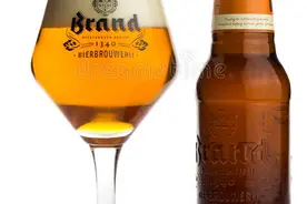 啤酒解密之IPA图片