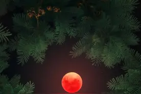 血月来袭！“血月出，妖孽现”是真的吗？它的出现意味着什么？图片