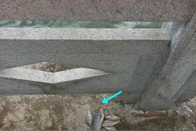 福建钓鱼人将鱼丢弃岸边晒死，路人吐槽没人性，网友却纷纷点赞？图片