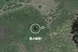 是传说中的大脚怪吗？谷歌地图显示2.3米的猿类生物，全身通黑图片