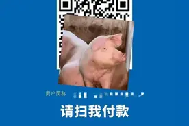 远程收款码图片