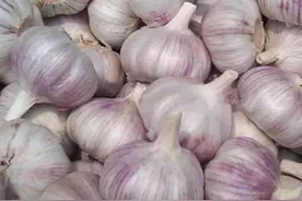 腌糖醋蒜,教你传统老配方,酸甜可口嘎嘣脆,放一年都不坏图片