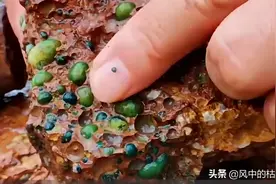 男子小溪捡到怪石，里面藏着许多玛瑙原石，称这下至少不用再种地图片