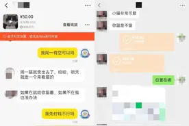 网购宠物猫被拉黑，想撸“喵”？脱离平台交易要当心！图片