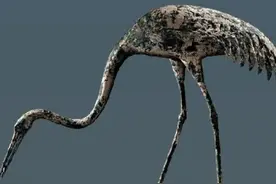 西安临潼县秦始皇陵的青铜水禽坑，惊现盛行于西方的失蜡铸造工艺图片