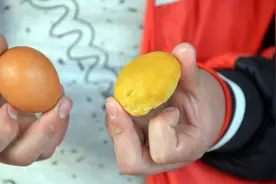 7万每克的“鸡宝”，真有人得到过？有人靠它买了一套房图片